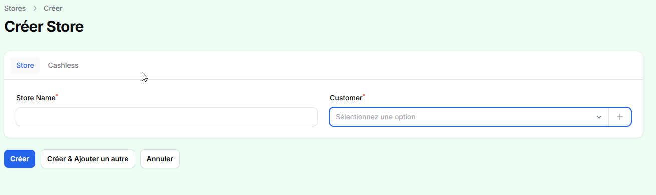 The Create Store form